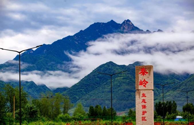 守护青山绿水 同享美好生活