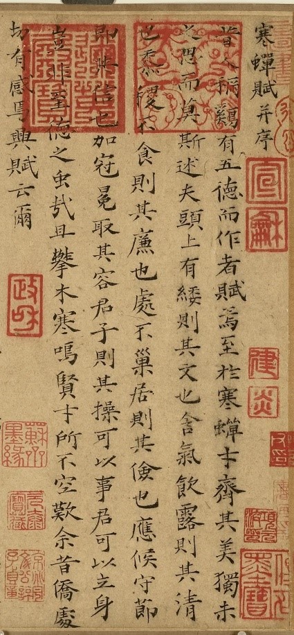 c1